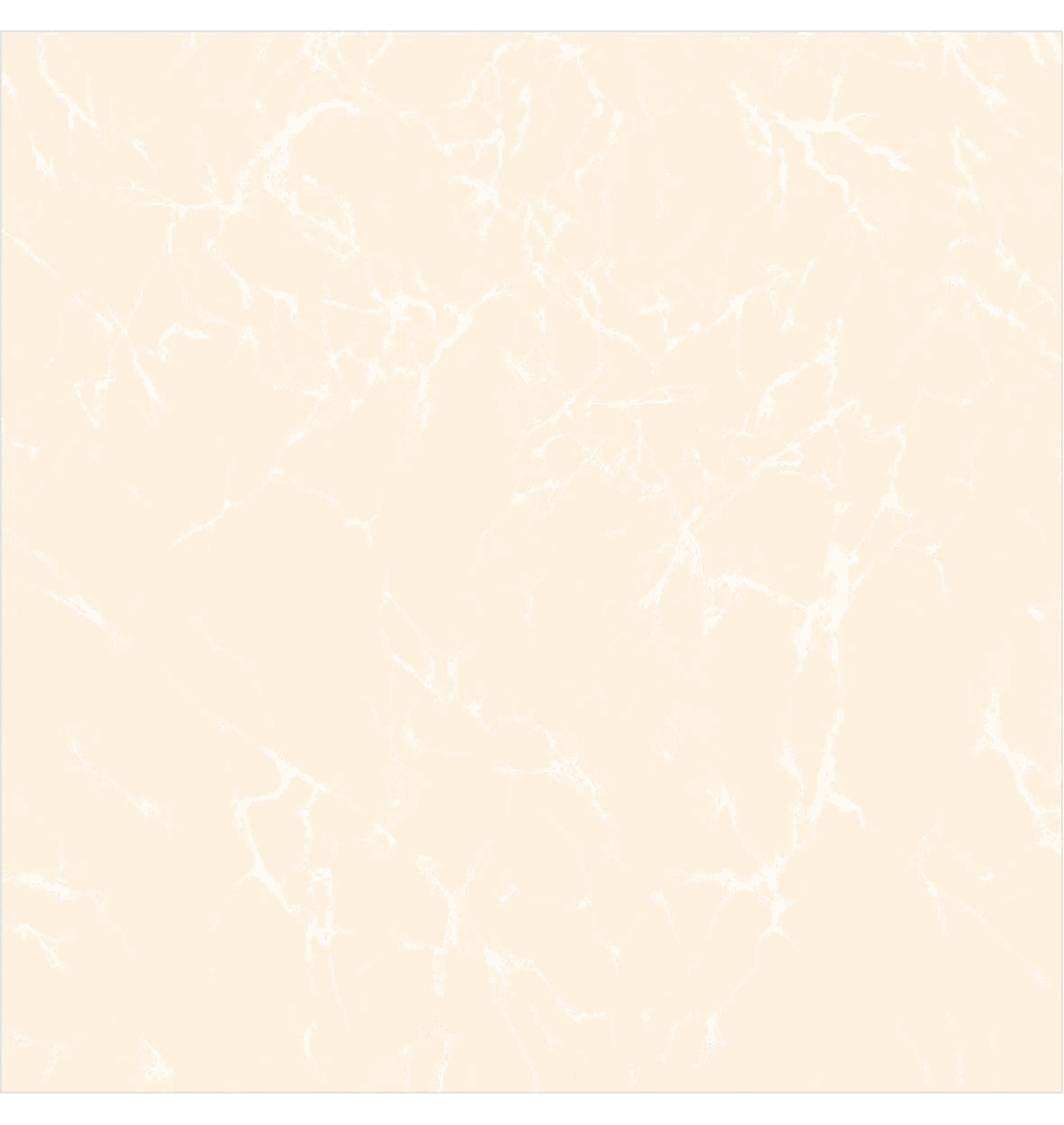8081 M