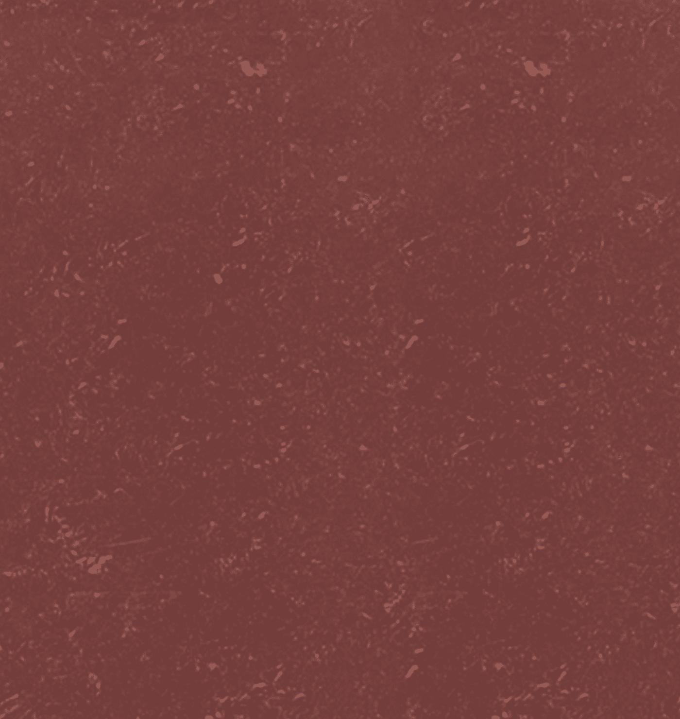 6607