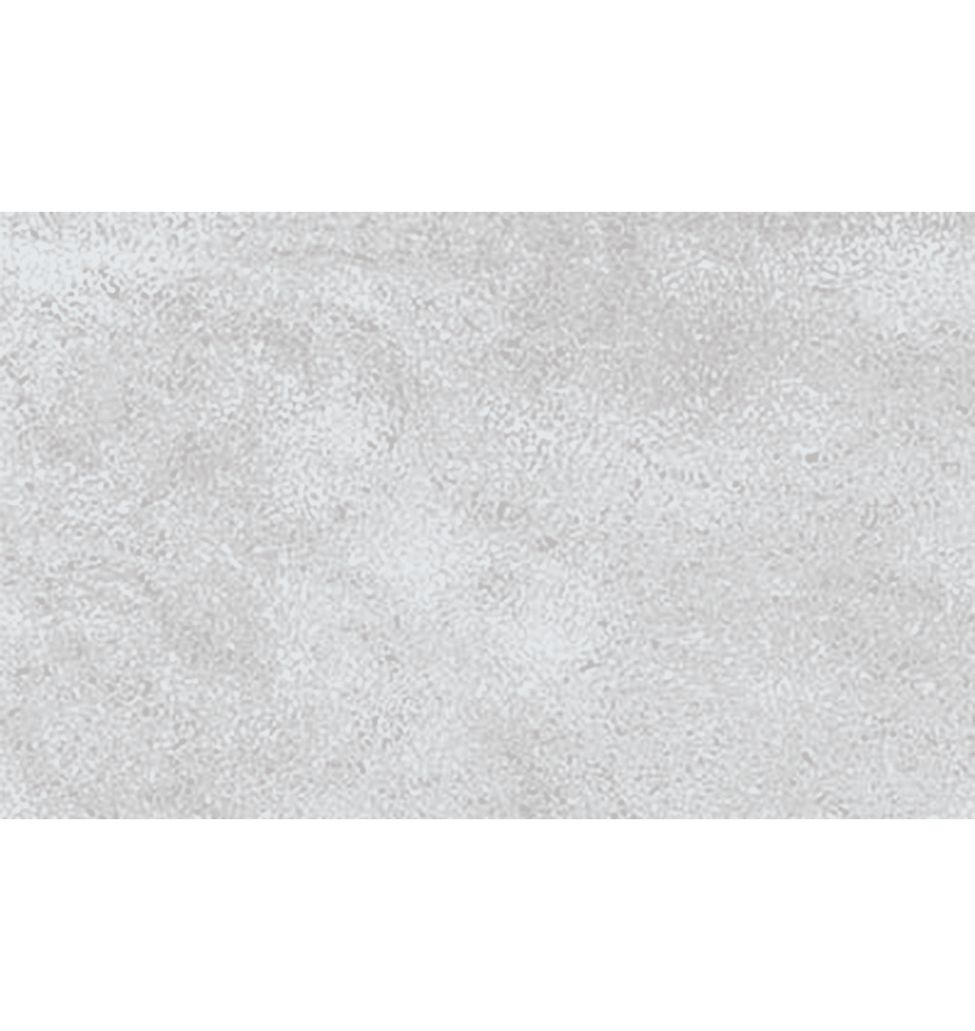515 DG