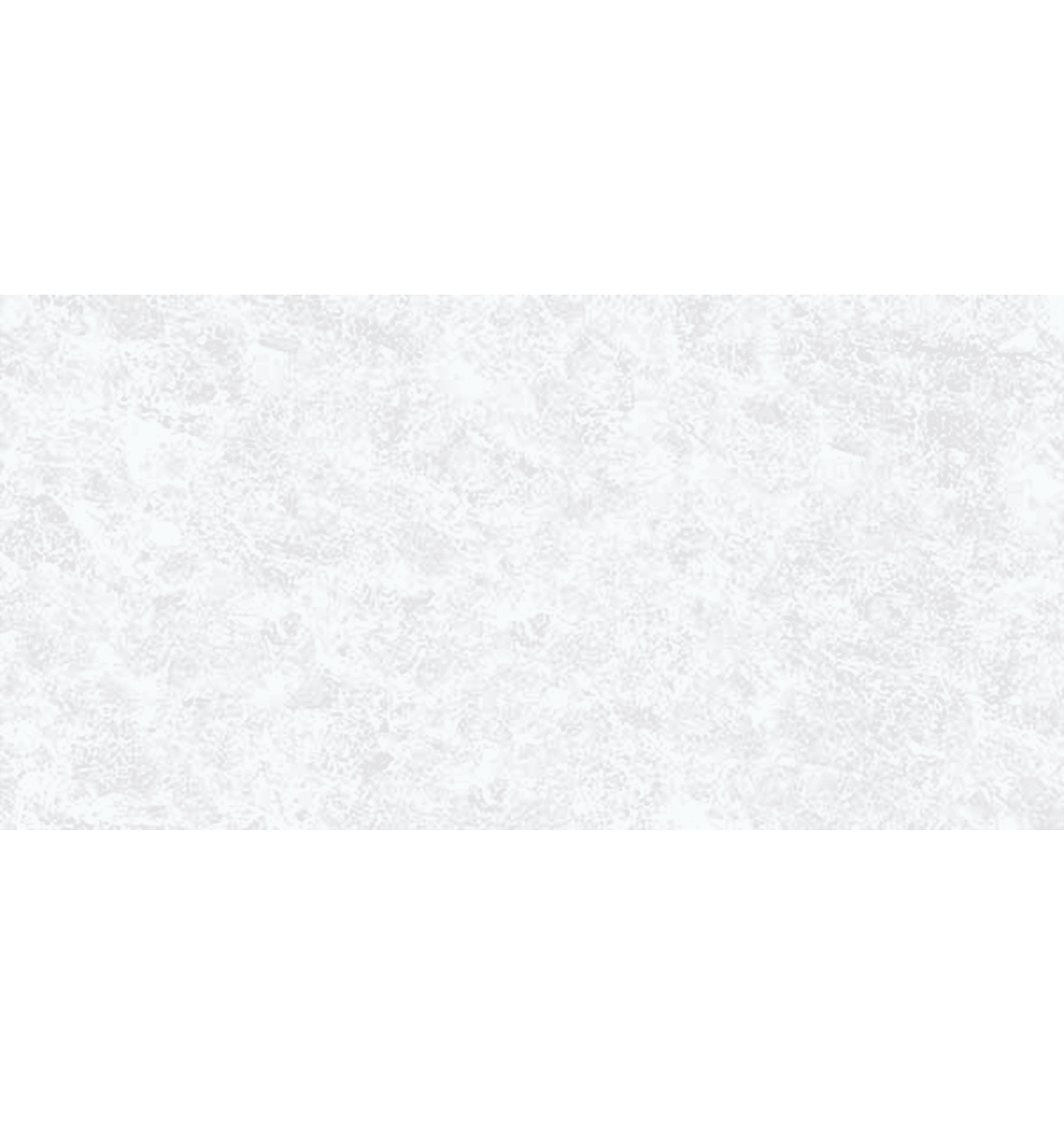 1124 LG S — view 1