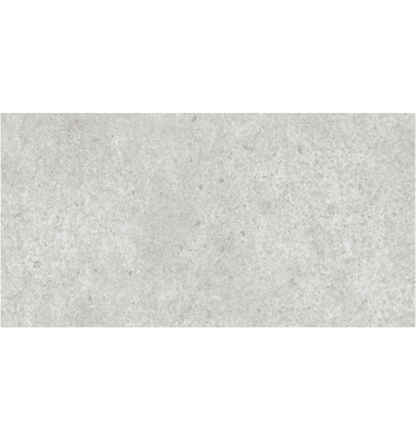 1101 DG